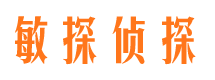 东山侦探公司